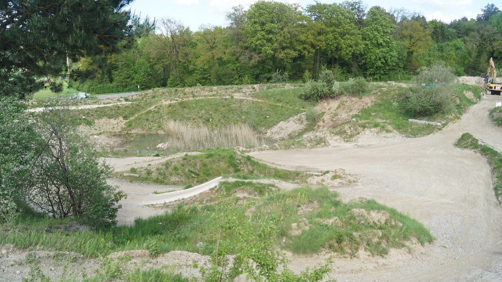 Neue Pionier-Lebensräume nach Anpassungen an der Piste in der Gishalde