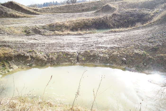 Wasserfläche mitten im Pistenareal der Gishalde als Lebensraum für Amphibien